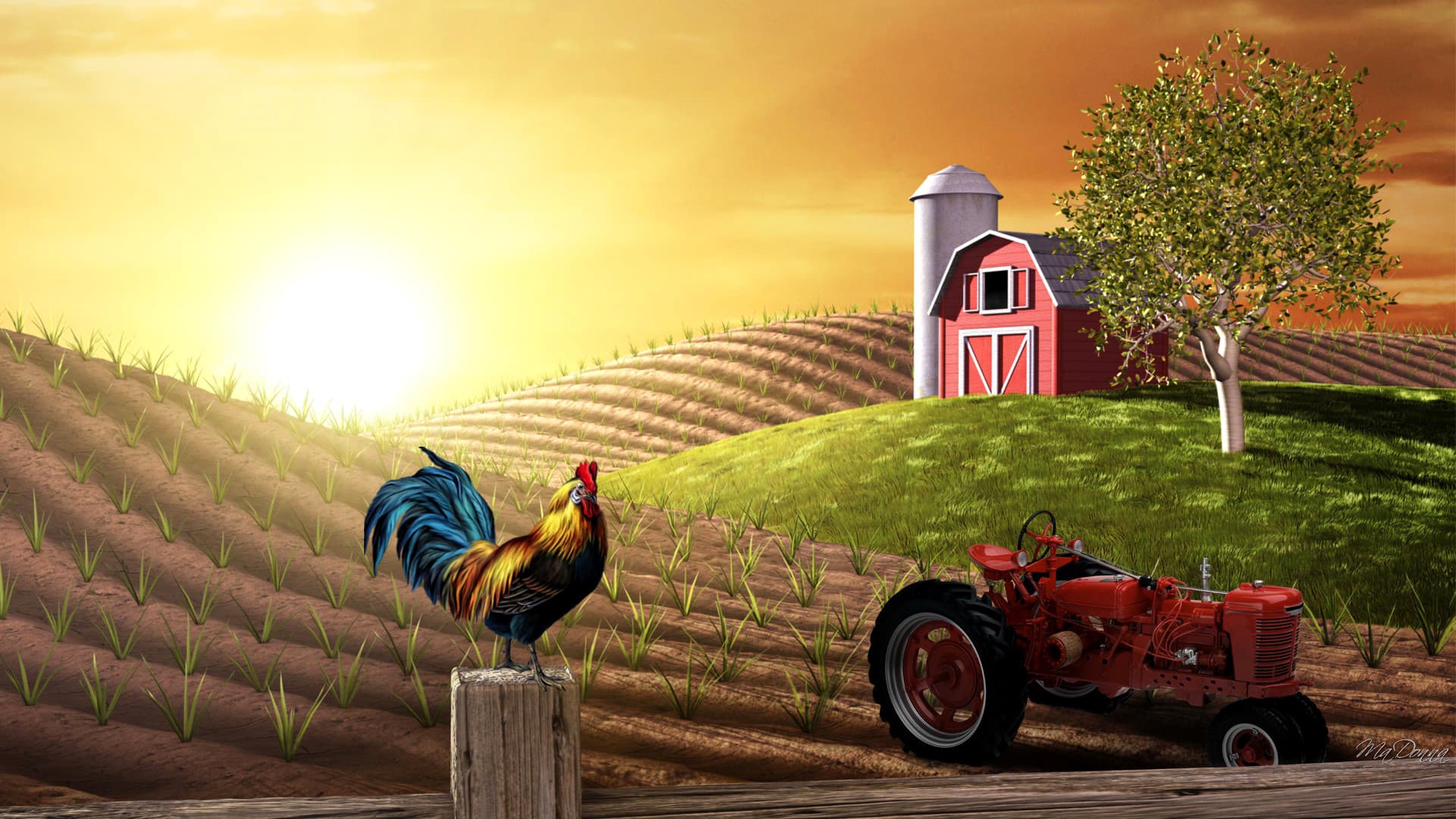 Our Farm