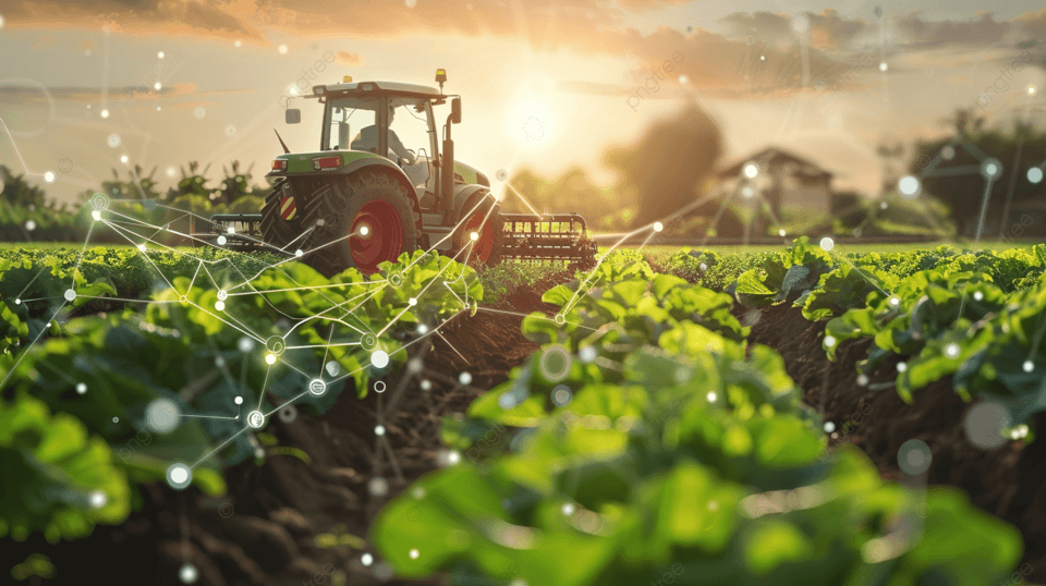 Agricultural Consulting