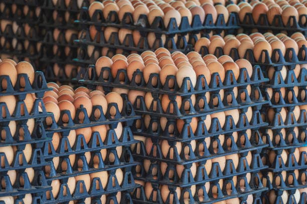 Free-Range Eggs